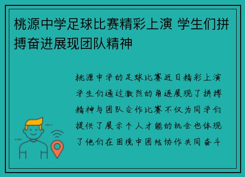 桃源中学足球比赛精彩上演 学生们拼搏奋进展现团队精神
