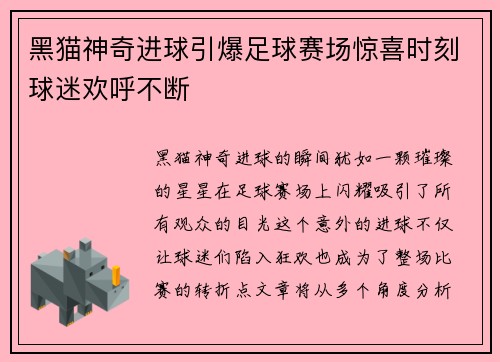 黑猫神奇进球引爆足球赛场惊喜时刻球迷欢呼不断