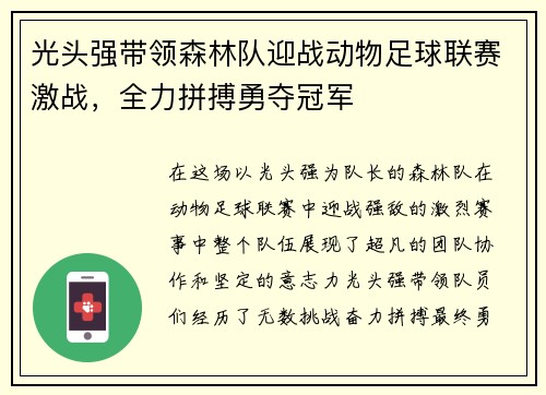 光头强带领森林队迎战动物足球联赛激战，全力拼搏勇夺冠军