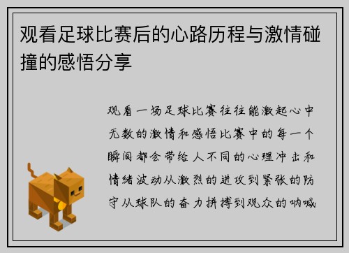 观看足球比赛后的心路历程与激情碰撞的感悟分享