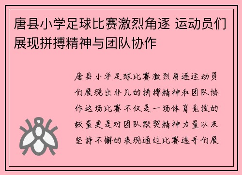 唐县小学足球比赛激烈角逐 运动员们展现拼搏精神与团队协作