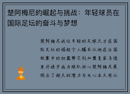 楚阿梅尼的崛起与挑战：年轻球员在国际足坛的奋斗与梦想