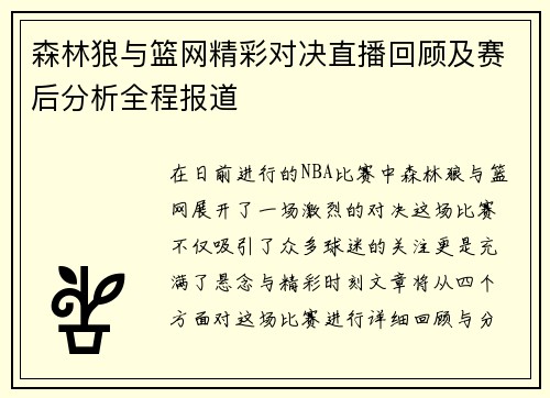 森林狼与篮网精彩对决直播回顾及赛后分析全程报道