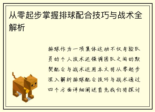 从零起步掌握排球配合技巧与战术全解析